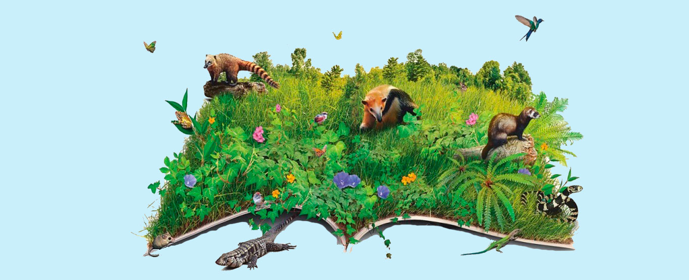 Biodiversidade