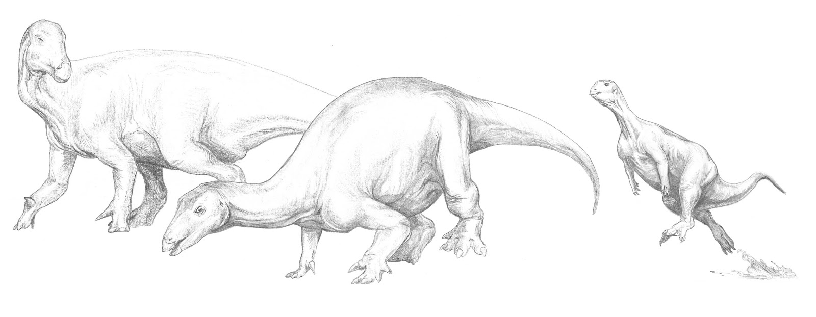 Draconyx loureiroi